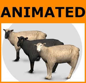 ready sheep set animations 3d fbx