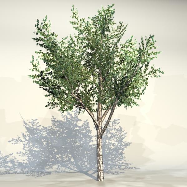 3dsmax pc tree