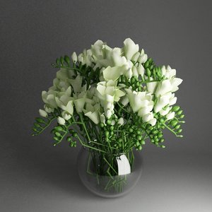 bowl flowers freesia 3d model