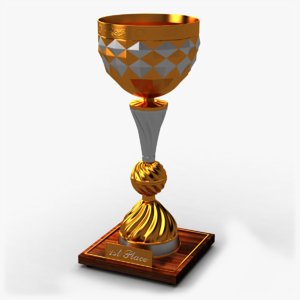 3d winner cup