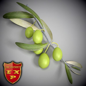 3d olive branch