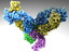 human antibodies 3d model