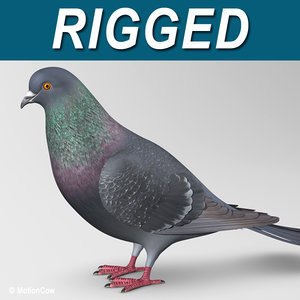 3d max realistic pigeon b wings