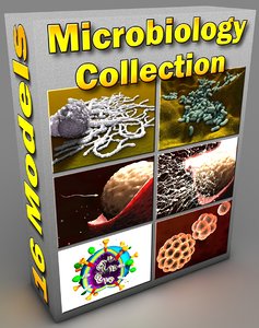 microbiological bacteria cell 3d model