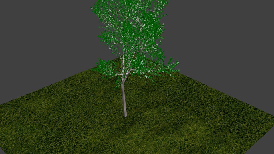  free  max model tree  blender 