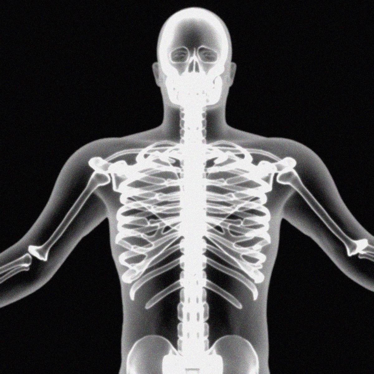 x-ray skeleton xray body human obj
