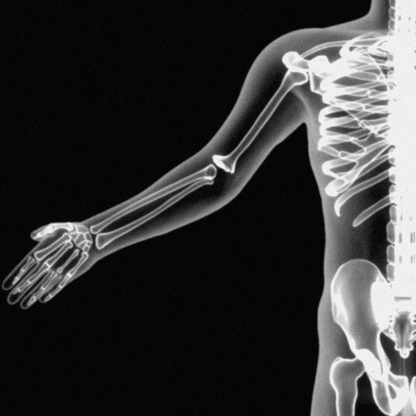 xray skeleton xray body human obj