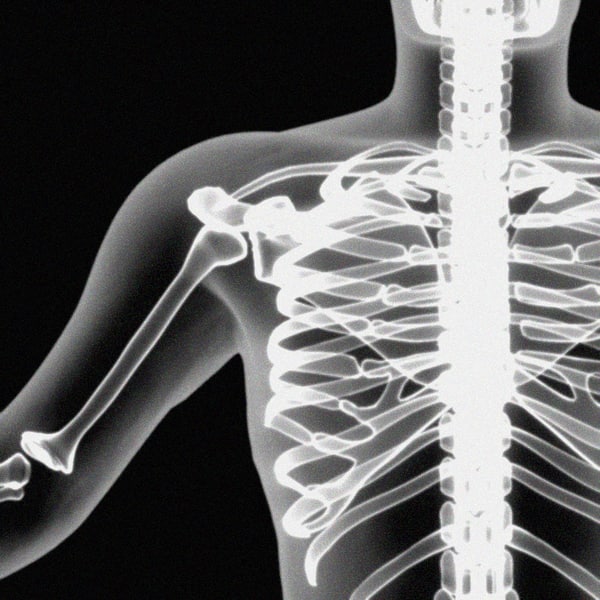 xray skeleton xray body human obj