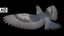 flying pigeon b max