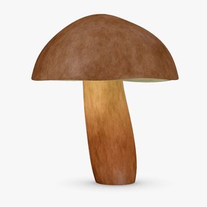 maya mushroom boletus badius