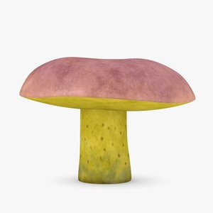 3d mushroom boletus regius