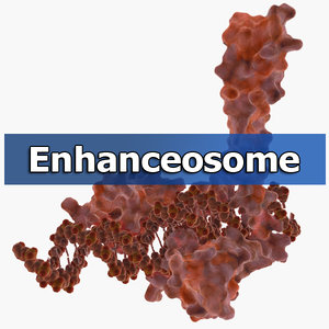 enhanceosome protein organic max
