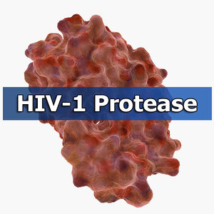 hiv-1 protease 3d model