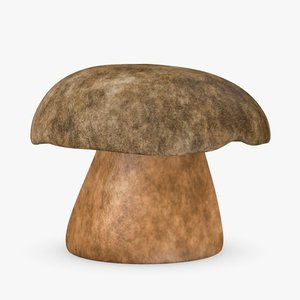 mushroom boletus aereus 3d model