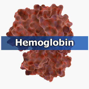 3d hemoglobin organic cells