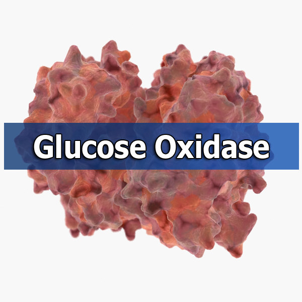 glucose oxidase 3d max