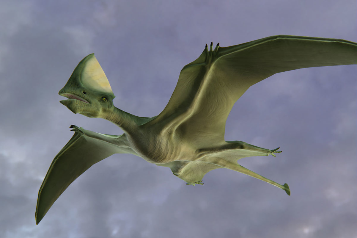 pterosaur a dinosaur