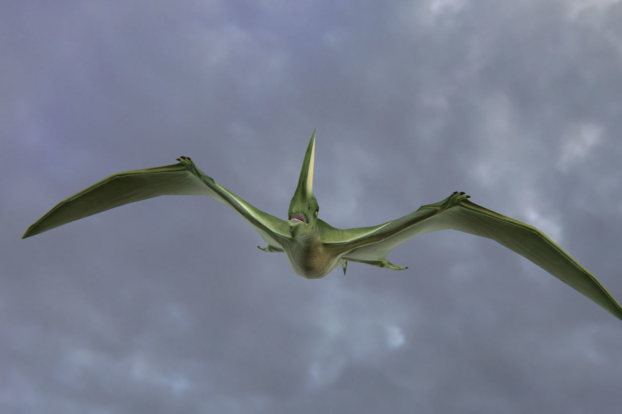 dinosaur pterosaur prehistoric 3d model