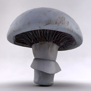 mushroom 3d max