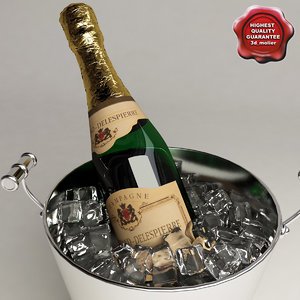3d champagne buckets