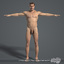 3d human digestive male body model