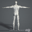 3d human digestive male body model
