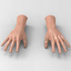 3d human male hand model