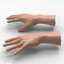 3d human male hand model