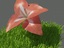 3d growing flower model