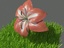 3d growing flower model
