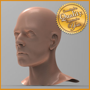 human male head 3d model
