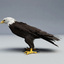 3d bald eagles poses