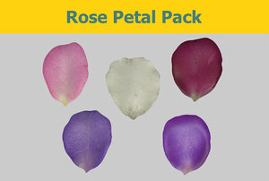 rose petal 3d ma