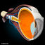 cross sectional human eye 3d model