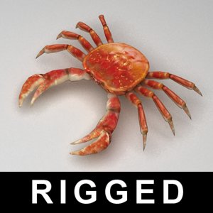 3ds max rigged crab