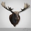 3d moose head