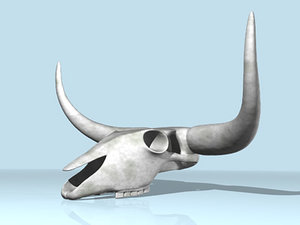 3d aurochs skull model