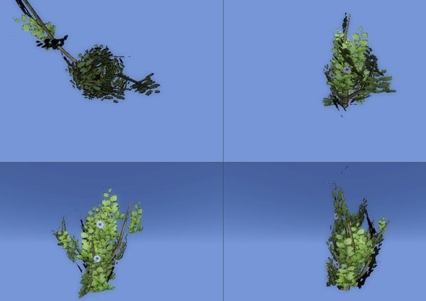 Free 3D Hedge Models | TurboSquid