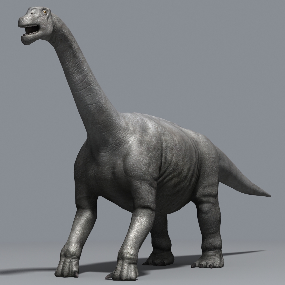 camarasaurus dinosaur