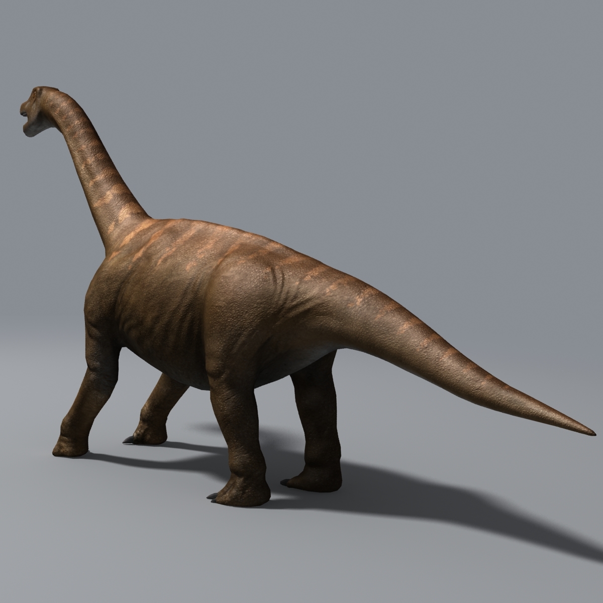 camarasaurus dinosaur