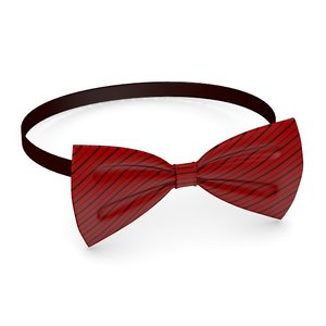 3d bow tie