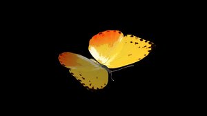 obj orange-barred butterfly