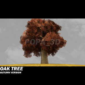 3d model oak tree