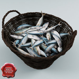 max fish wicker basket