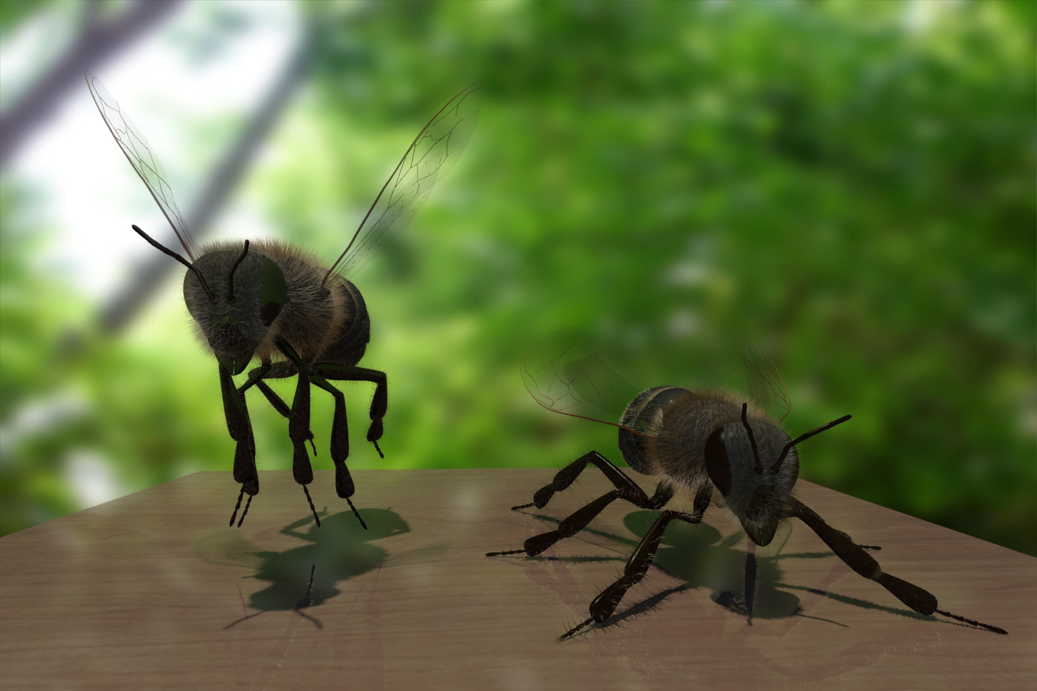 蜜蜂3d模型