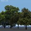 set trees 3d model