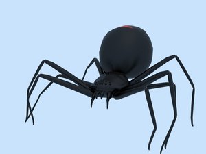 3d black widow spider