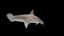 3d hammerhead shark hammer