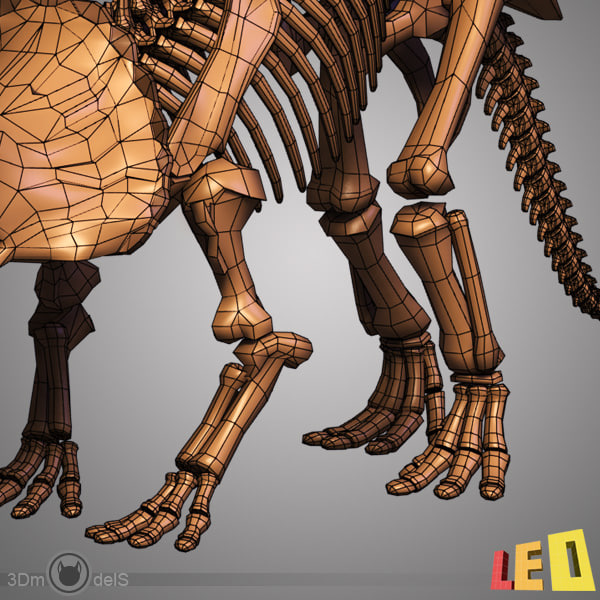 skeleton triceratops