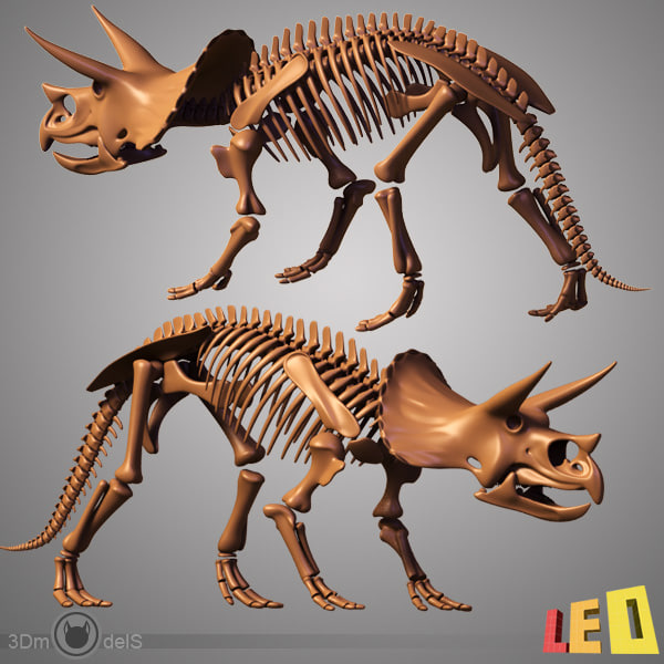 complete t rex skeleton triceratops